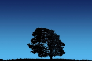 Tree On Blue Sky119639345 300x200 - Tree On Blue Sky - tree, blue, abstract
